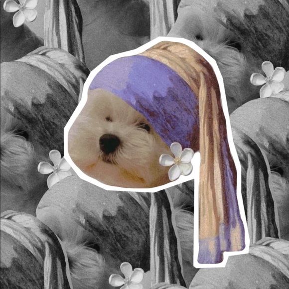 Meet your Posher, Jingwen - Picture 1 of 1